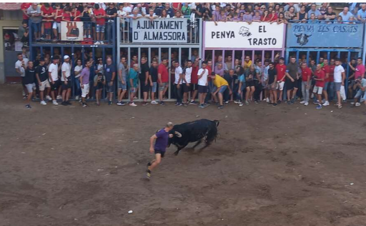 Almassora celebra les festes del Roser amb protagonisme dels actes taurins
