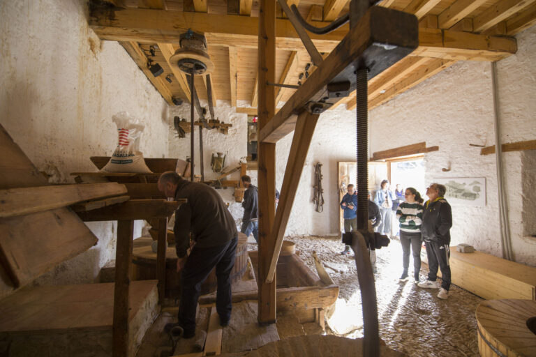 Èxit de participació en els primers actes d’Abrasa’m a Ares del Maestrat