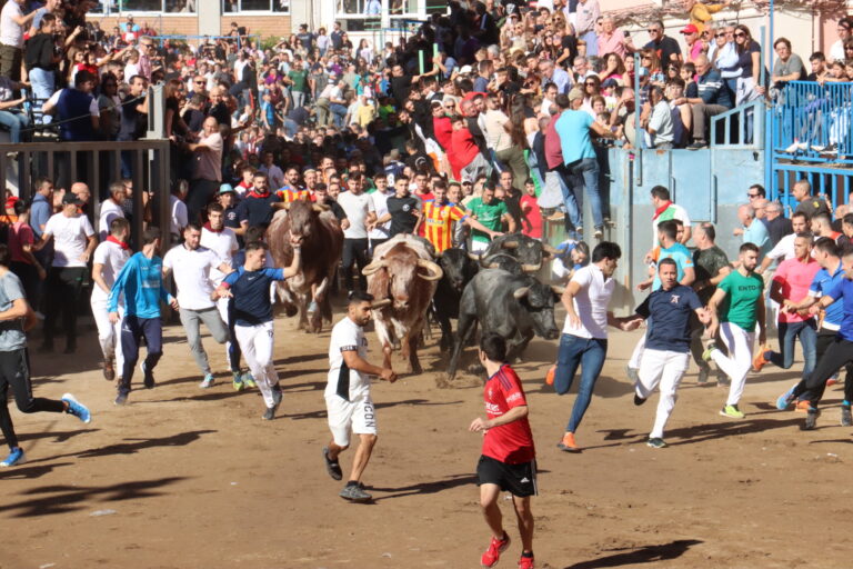 Fira d’Onda culmina su ciclo taurino con un emocionante encierro con los toros de José Escolar