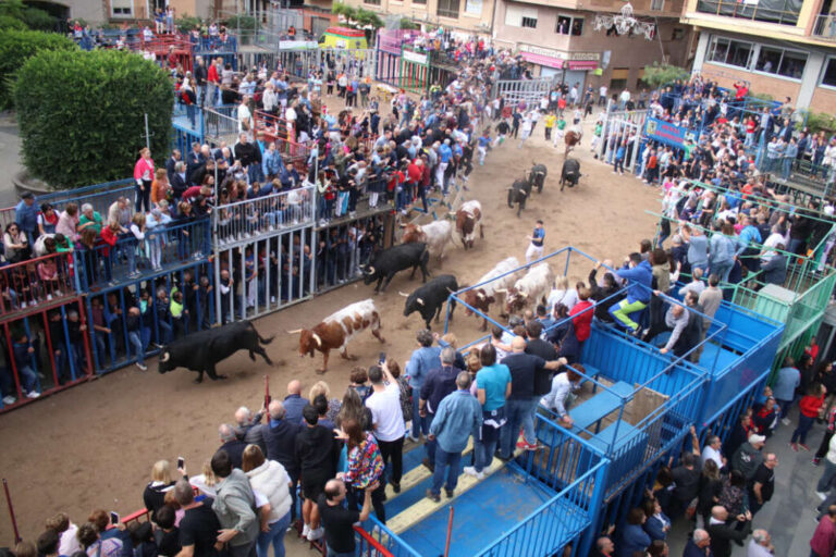 Los toros de Couto de Fornilhos y Santa Teresa atraen a miles de aficionados en un emocionante encierro del viernes en la Fira d’Onda