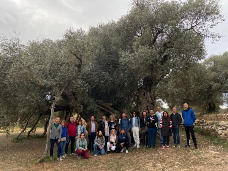Turisme Vinaròs organiza una jornada de conocimiento de recursos turísticos para las empresas SICTED