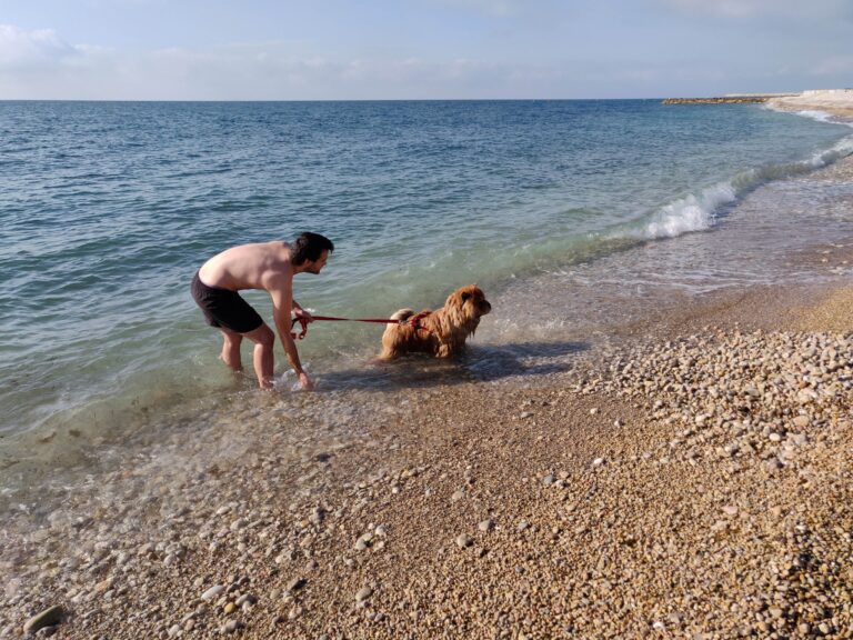 Turisme Vinaròs propondrá habilitar las playas y calas para las mascotas durante la temporada baja