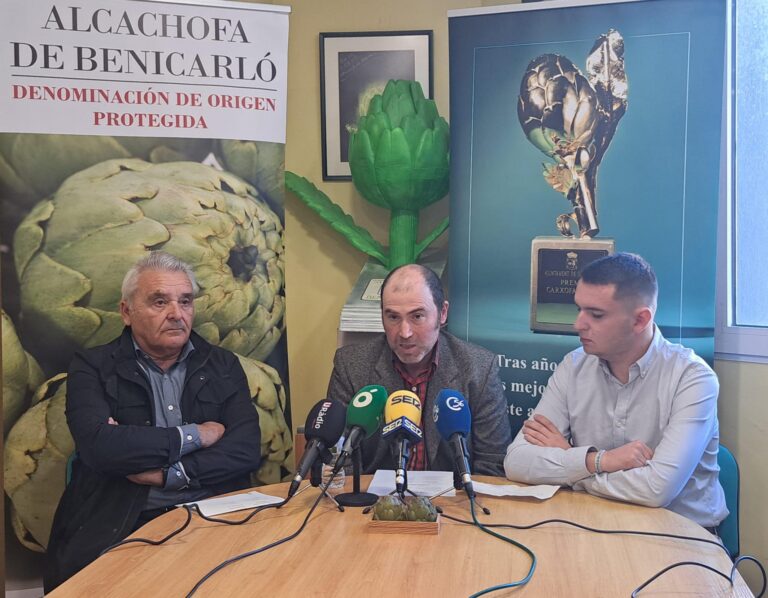 La Alcachofa de Benicarló DO amplia variedad para aumentar producción y rentabilidad