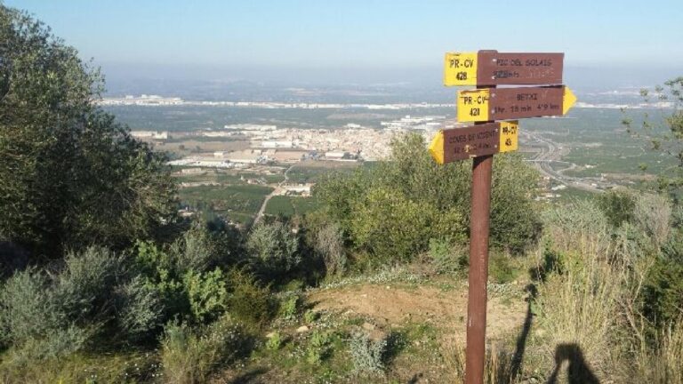 Una veïna de Betxí ha donat al municipi diverses finques en la zona de Solaig que es convertiran en espai d’oci