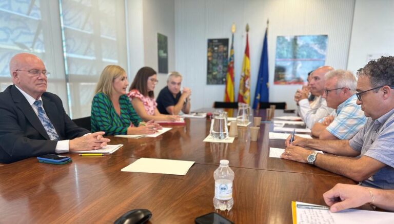 Coneix la nova regulació de taxes del sector del taxi a Castelló