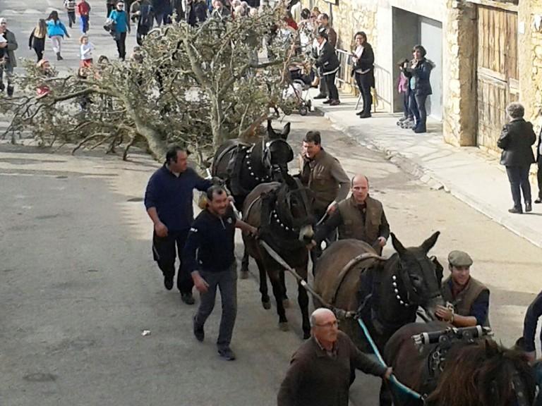Fuego y tradición en el Sant Antoni de Tírig
