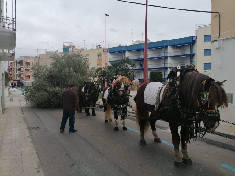 Peñíscola arranca este fin de semana la programación de San Antonio Abad