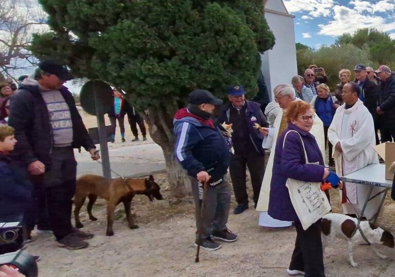 Vinaròs ha celebrado la fiesta de Sant Antoni