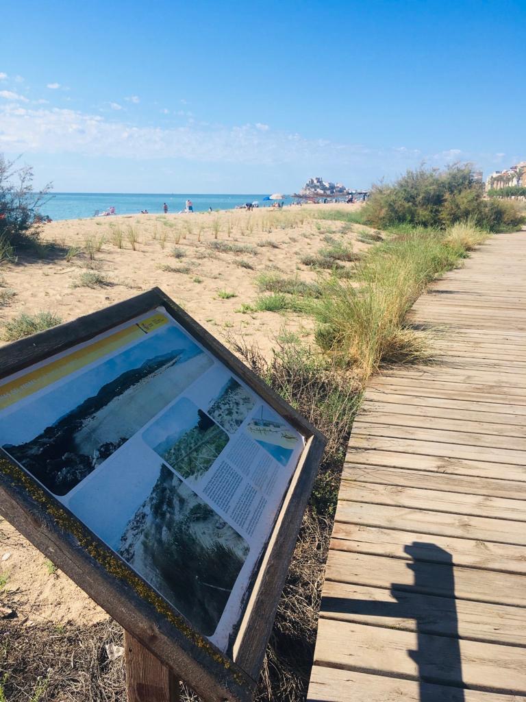 Peñíscola revalida su Sendero Azul para la pasarela medioambiental en su Playa Norte