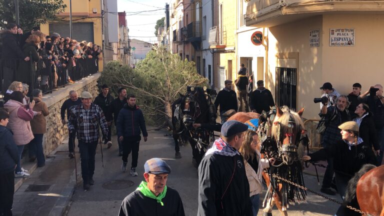 ‘L’Entrà del Pi’ de los Quintos y Quintas marcó el inicio de la fiesta de Sant Antoni