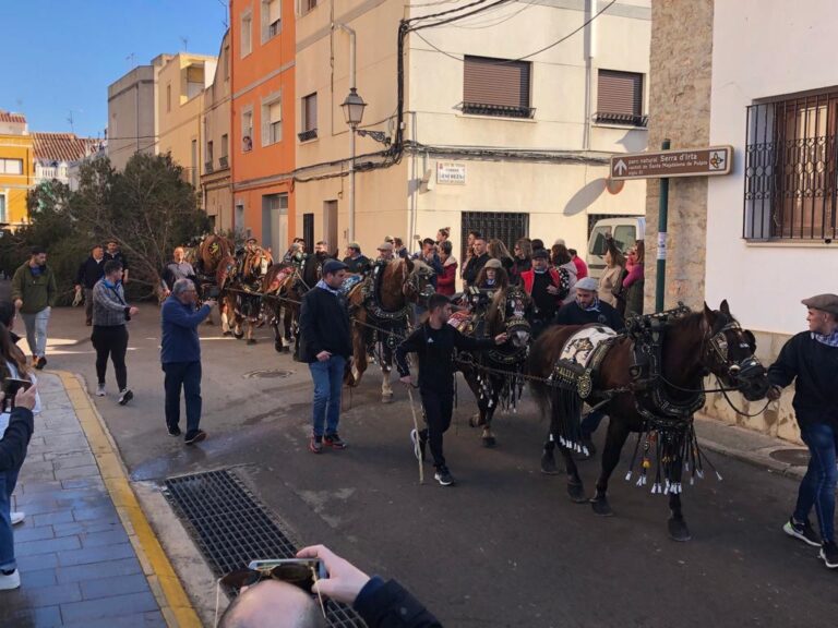 Santa Magdalena empieza la cuenta atrás para la celebración de Sant Antoni