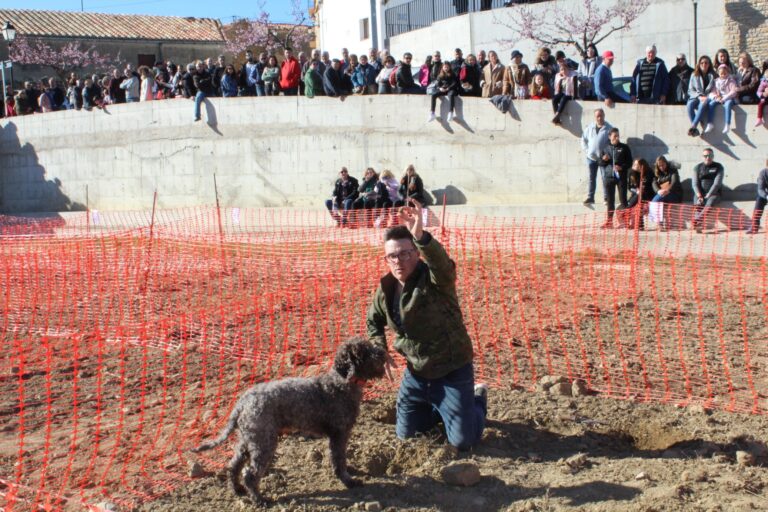 Culla celebra el XX aniversario de la Mostra de la Trufa el próximo fin de semana