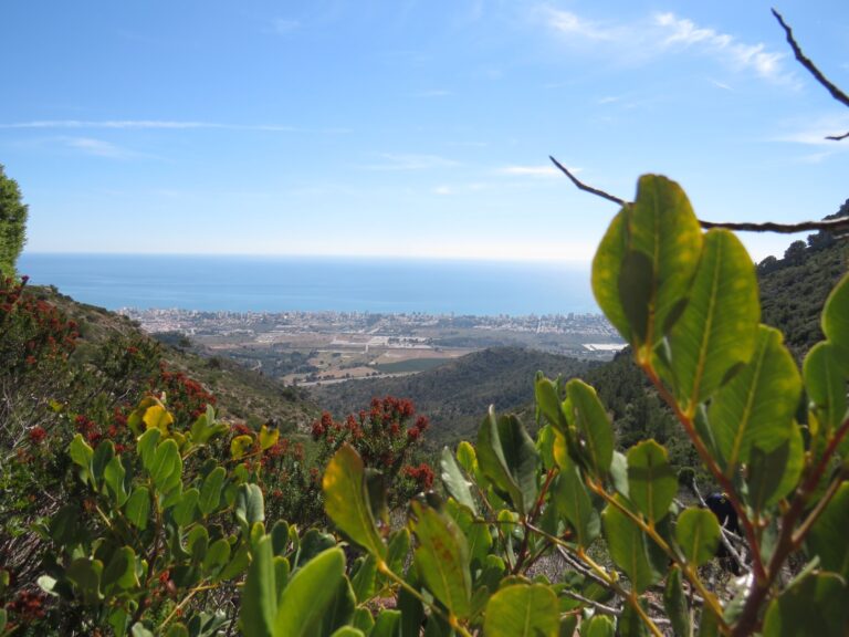 Benicàssim presenta su atractiva oferta turística de escapadas en primavera
