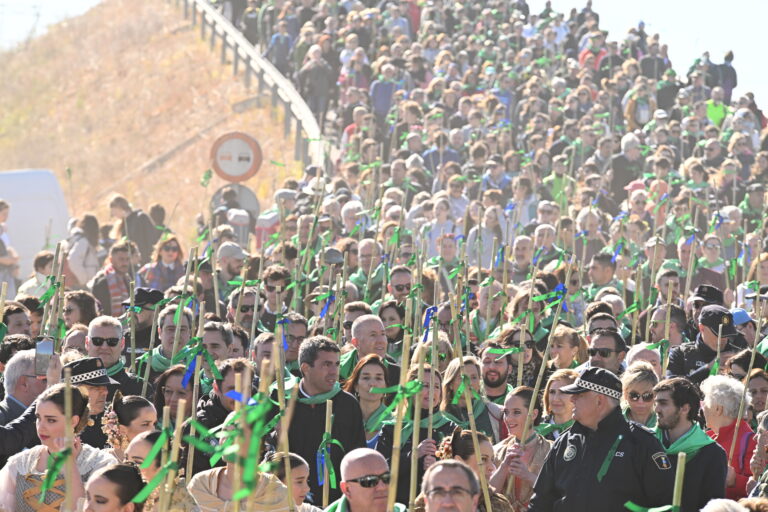165.000 personas han participado en la romería de la Magdalena