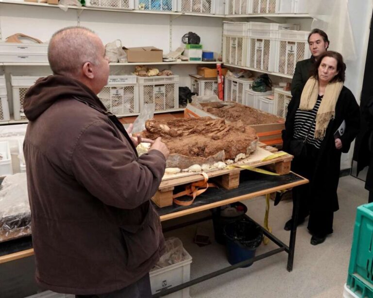 La regidoria de Cultura anuncia la jornada de portes obertes del Museu Arqueològic de Burriana