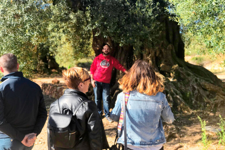 Maestrat, ànima interior presenta els camins vius del Maestrat, un viaje entre la tierra, la memoria y la natura