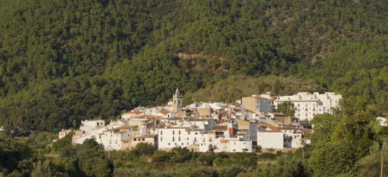 Aín celebra la segunda edición del Tast Gastronòmic el 8 y 9 de noviembre