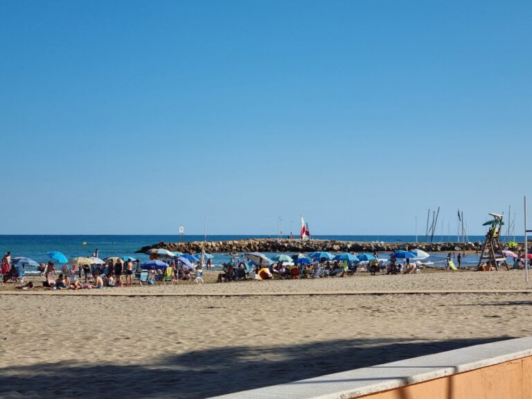 Las playas de Torreblanca ya son accesibles para mascotas