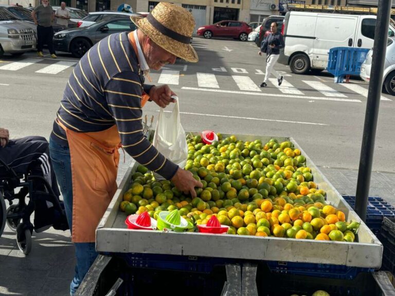 Almassora aposta pel consum de proximitat amb el Mercat de la Taronja