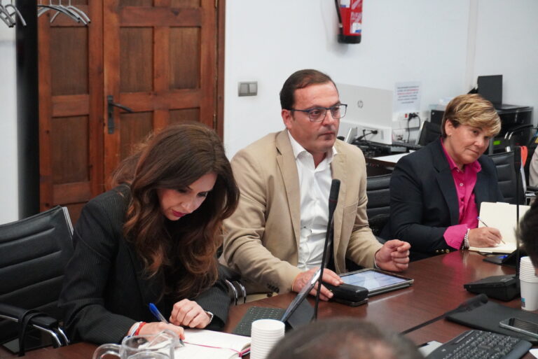 El vicepresidente de la Diputación asiste a la Comisión de Turismo de la FEMP