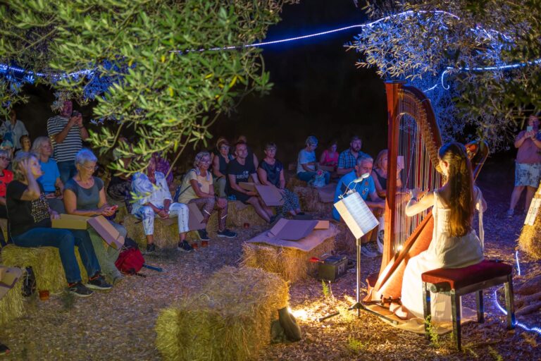Sant Jordi celebra una velada mágica entre olivos milenarios y estrellas