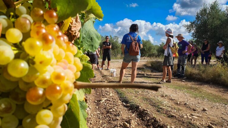 Un verano lleno de experiencias para toda la familia en Vinaròs