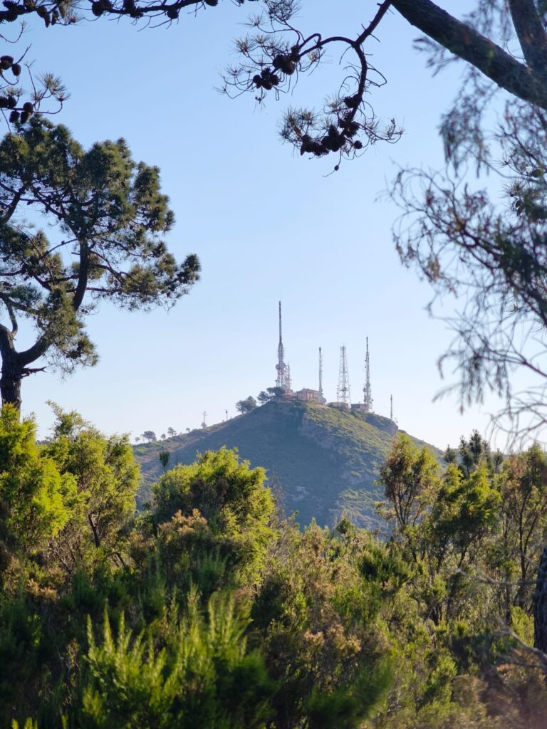 Benicàssim cuenta con 10 senderos para poder disfrutar de la biodiversidad