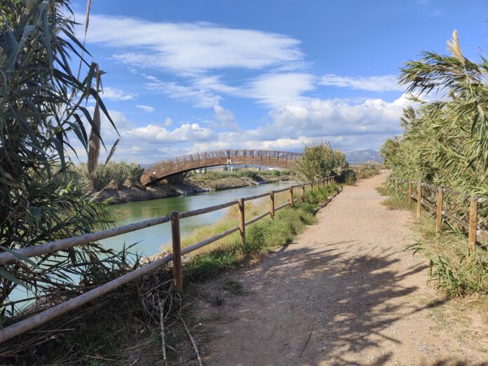 pont-des-de-sender-moncofa-2025