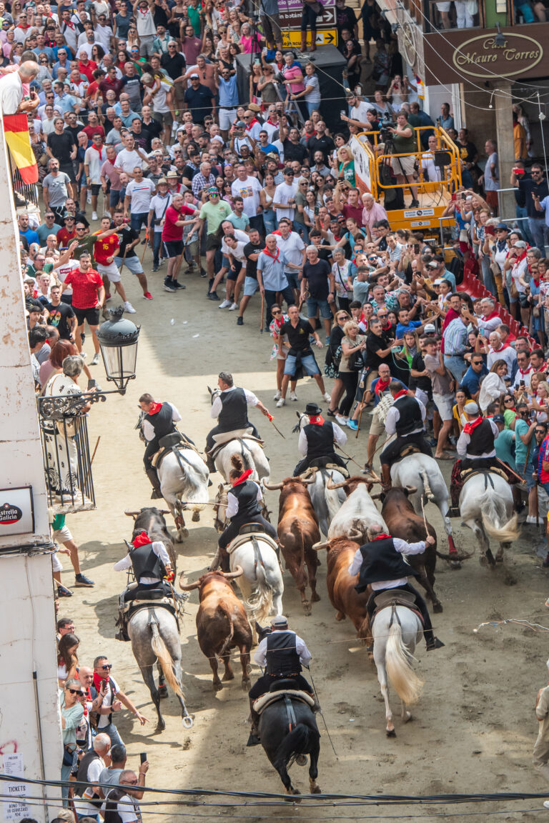 Rapidísima y emocionante segunda Entrada de Toros y Caballos en Segorbe