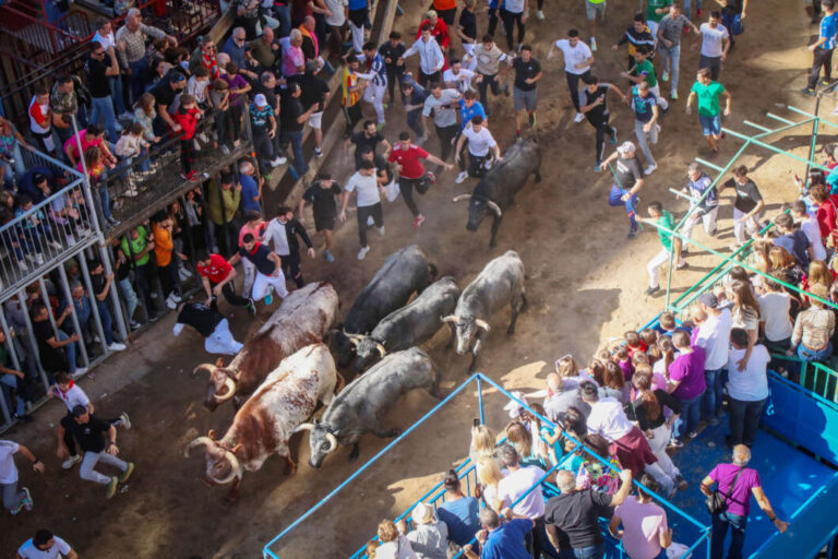 La Fira d’Onda ya es Fiesta de Interés Turístico Autonómico