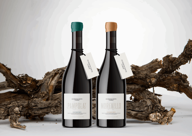 El varietal de Pampolat ‘Ochenta y Siete Cubos’ nominado a Vino Revelación de la Guía Peñín 2026