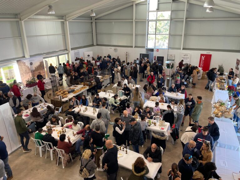 Cuenta atrás para la feria de la trufa de El Toro