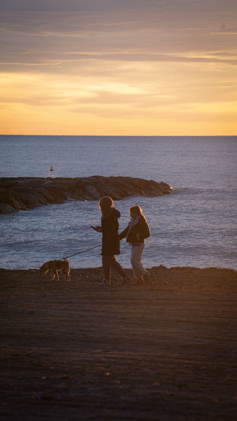 Benicàssim permite el acceso de los perros a las playas tras la temporada estival 