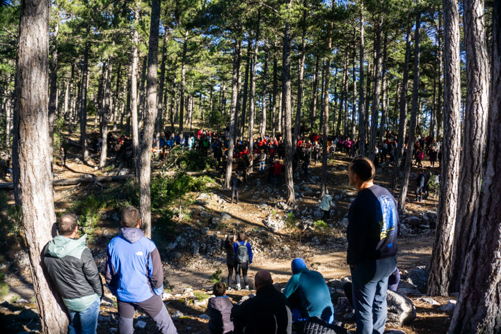 Las barras en la plaza y 13.077 pastissets para la fiesta de San Antonio en Vilafranca
