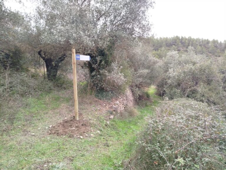 Montán refuerza apuesta por las rutas saludables