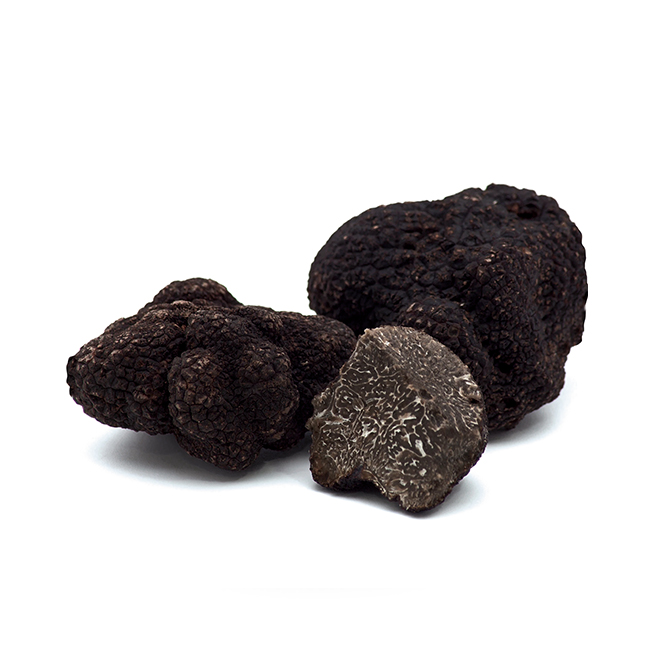 Vistabella del Maestrat celebra la XVIII Jornada de la Trufa