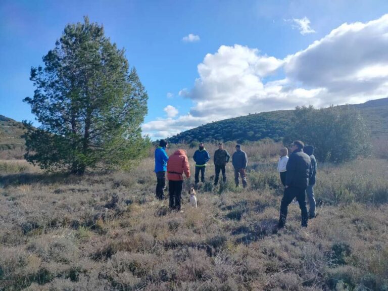 Benassal impulsa la professionalització del sector amb un curs sobre el gos tofoner
