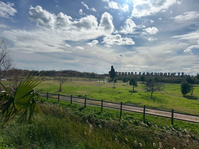 El parc Luz Casal de Moncofa comptarà amb un nou servei de restauració