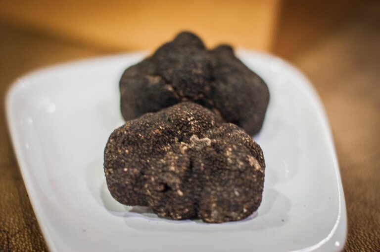 El mercado de la trufa llenará Morella este fin de semana