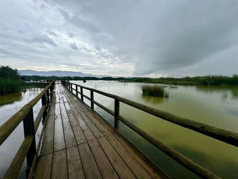 La Generalitat prepara actividades para la 'Pasqua als Parcs' y abre la campaña por primera vez a los colegios