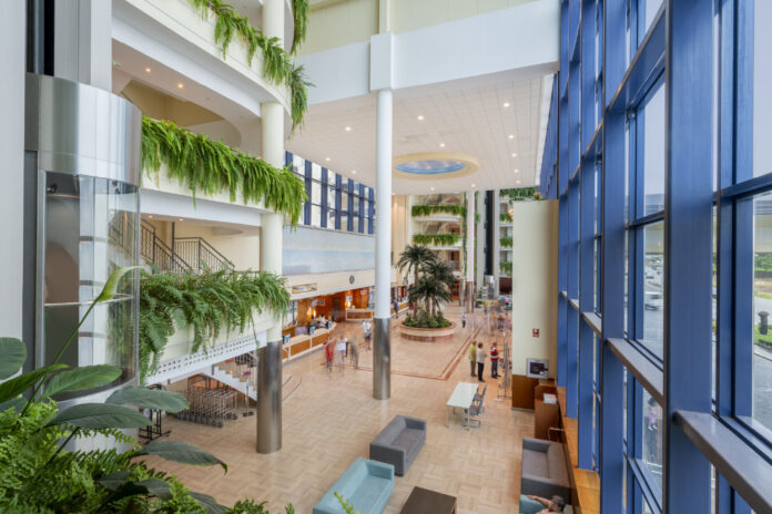 Bright multi-story atrium with hanging ferns, a central seating area, and a blue glass exterior wall on the right.