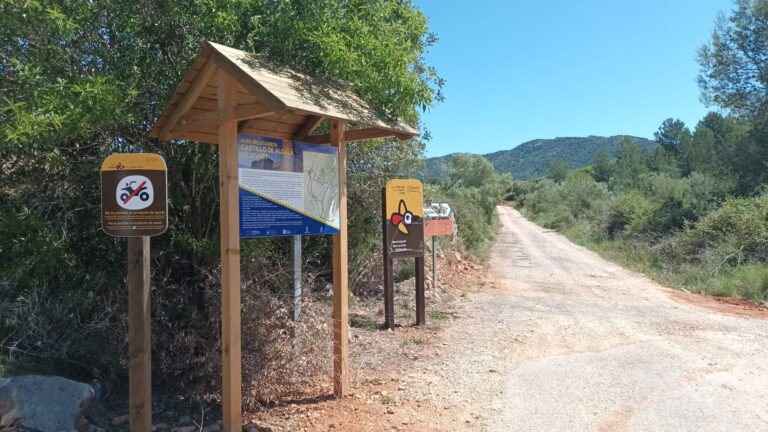 Wooden information kiosk with map signs at a dirt trailhead, surrounded by green trees under a bright blue sky.