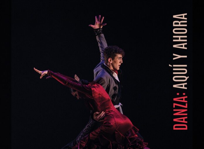 Dance couple in a dramatic pose on a dark poster promoting a gala of professional dance organizations; vertical title reads 'DANZA: AHORA' on the right.