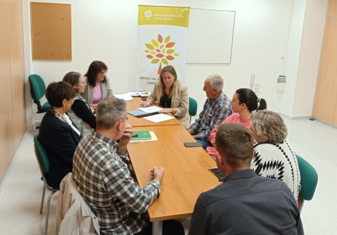 Group of adults seated around a rectangular table in a meeting room, reviewing documents; banner behind reads 'Grupo de Acción Local Castellón Sur'.