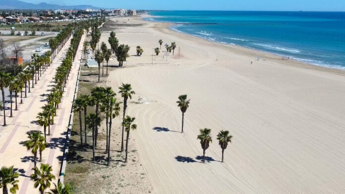 Aerial view of a wide sandy beach with a palm-tree promenade along the edge and calm blue ocean beyond.