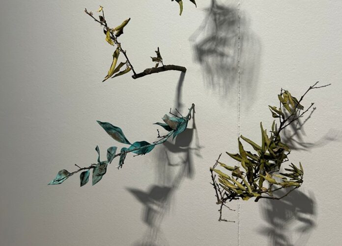 Suspended dried branches with teal and yellow leaves cast shadows on a pale wall.