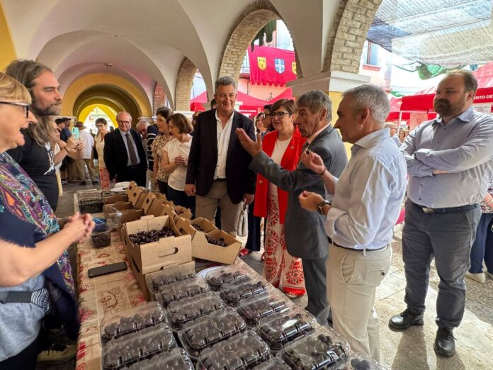 Group of people at an outdoor market under arches, gathered around a table of boxes and clear containers filled with dark berries for sale.