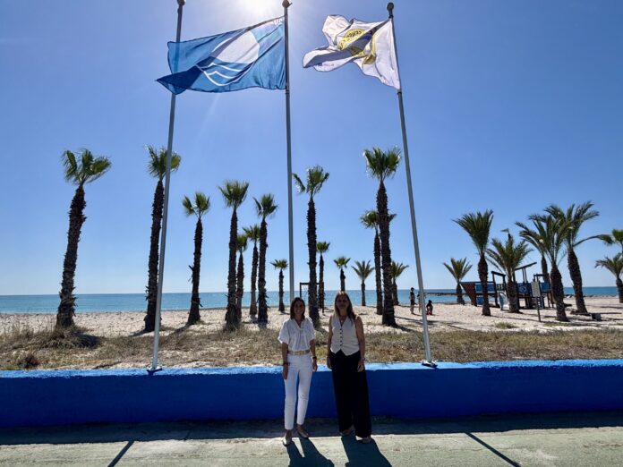 Two women stand near a blue wall on a sunny beach, with palm trees and flagpoles behind them and the ocean in the distance.