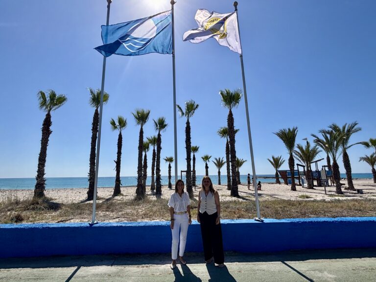 Two women stand near a blue wall on a sunny beach, with palm trees and flagpoles behind them and the ocean in the distance.