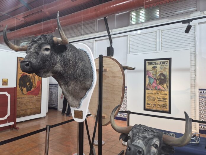 Large mounted bull head with long curved horns on display in a museum, with vintage posters on the walls behind it.